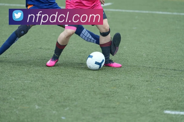 战术分析频道